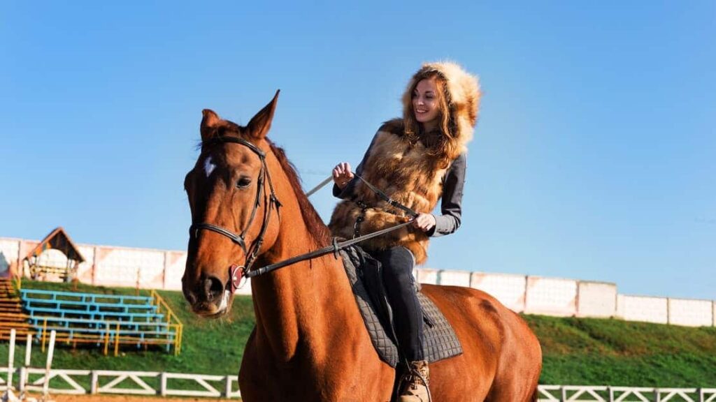 Horseback Riding Lessons Management with kleesto