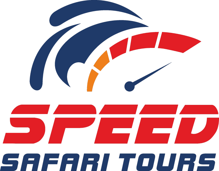 Logo of "kleesto speed safari tours" featuring an abstract symbol of speed indicated by a swoosh and a speedometer. | kleesto